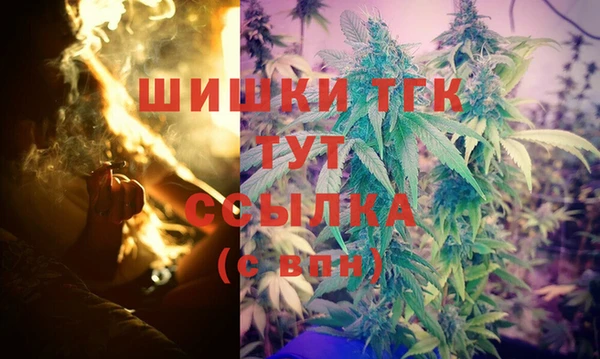 стафф Снежногорск