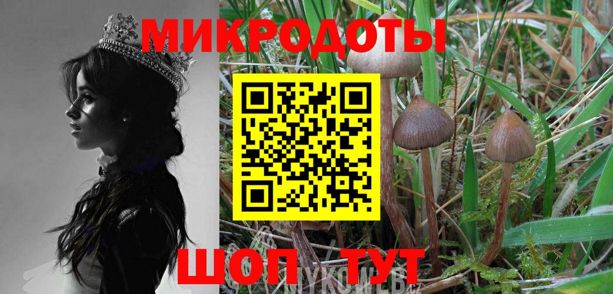 Псилоцибиновые грибы мухоморы  Галлюциногенные грибы MAGIC MUSHROOMS  Вход с VPN  Аксай 