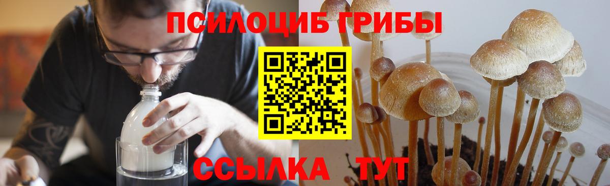 Псилоцибиновые грибы MAGIC MUSHROOMS Аксай